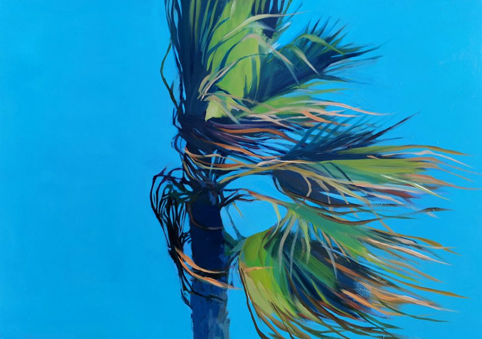 PALMERA AL VIENTO DE LEVANTE