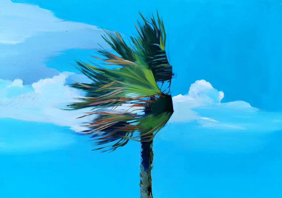 PALMERA AL VIENTO DE PONIENTE