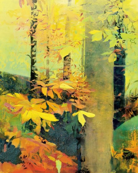 LOS COLORES DEL OTOÑO