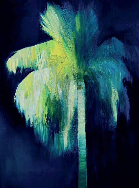 PALMERA NOCTURNA