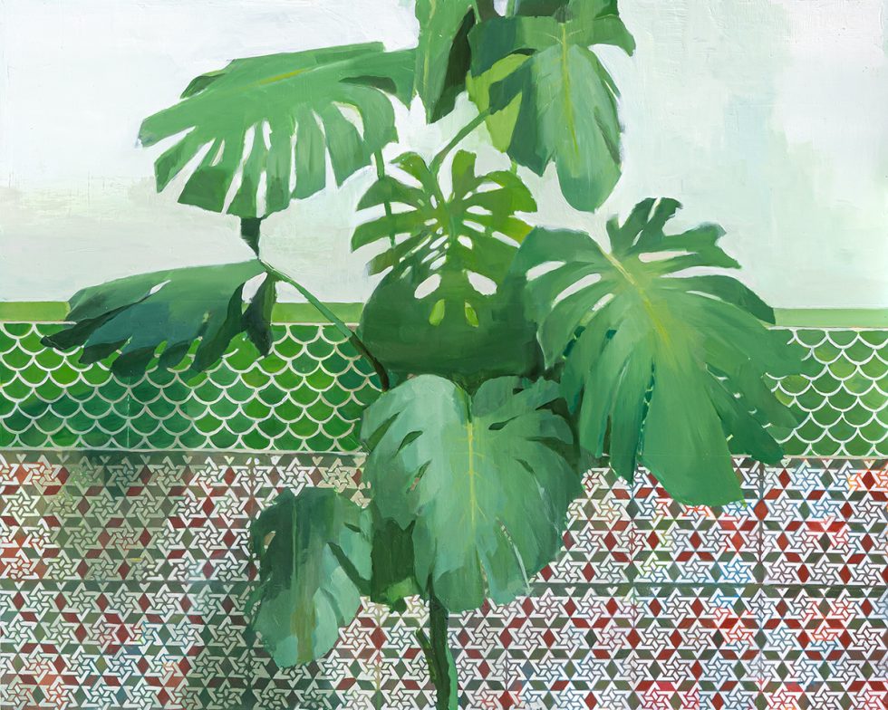 PLANTAS Y AZULEJOS